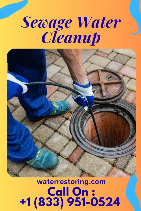Sewage Water Cleanup in Country Homes, WA